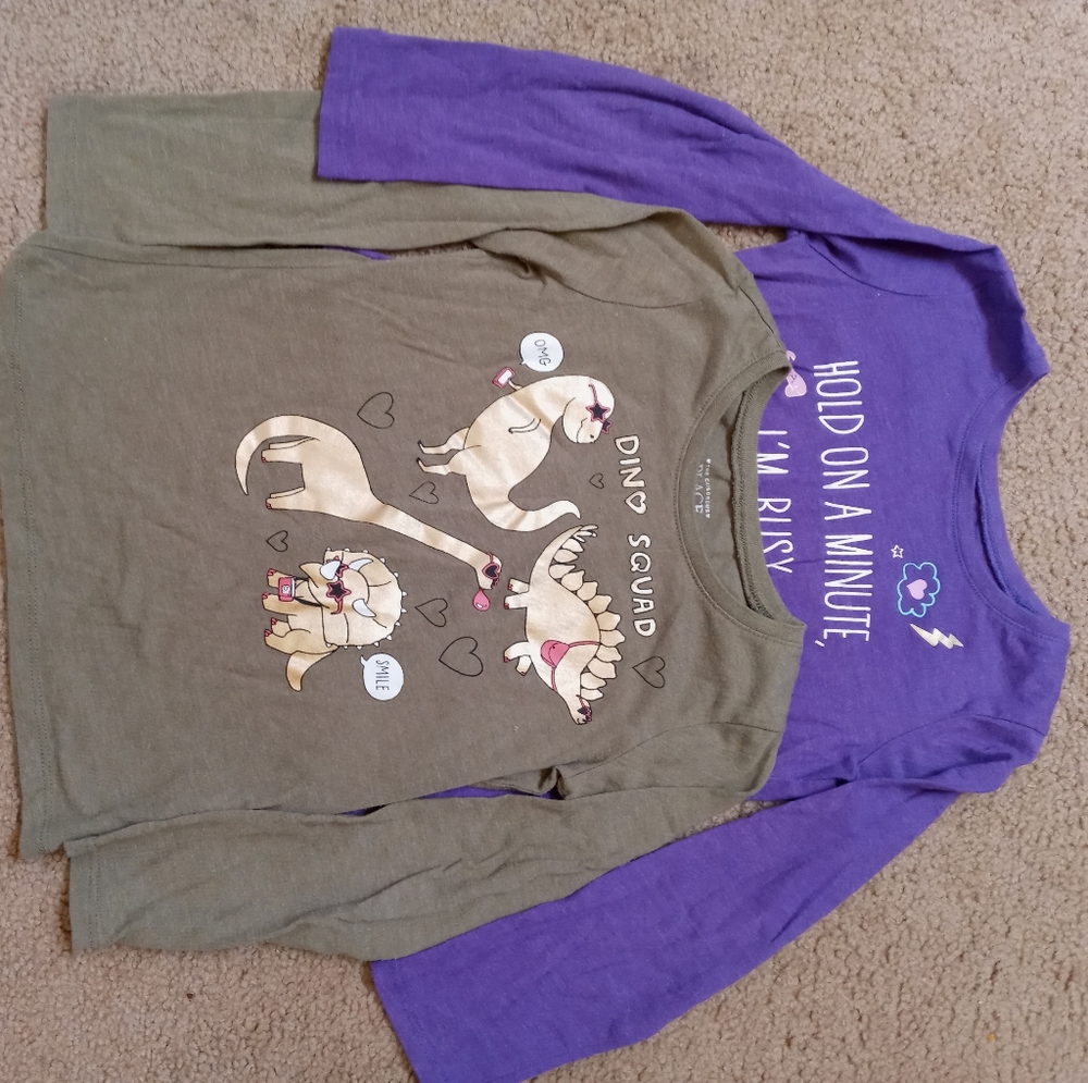 2 Girls Children's Place Long Sleeve Tee Shirts, Size 5t